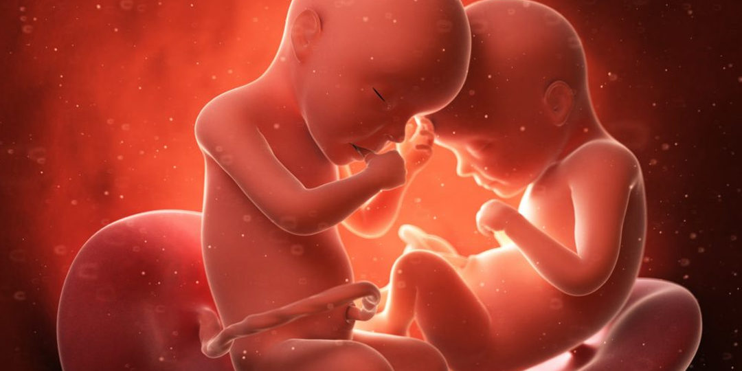 La vita dopo il parto