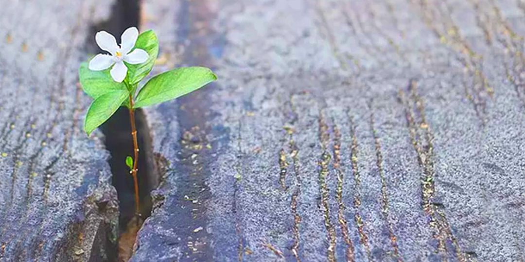 La fragilità è cosa umana