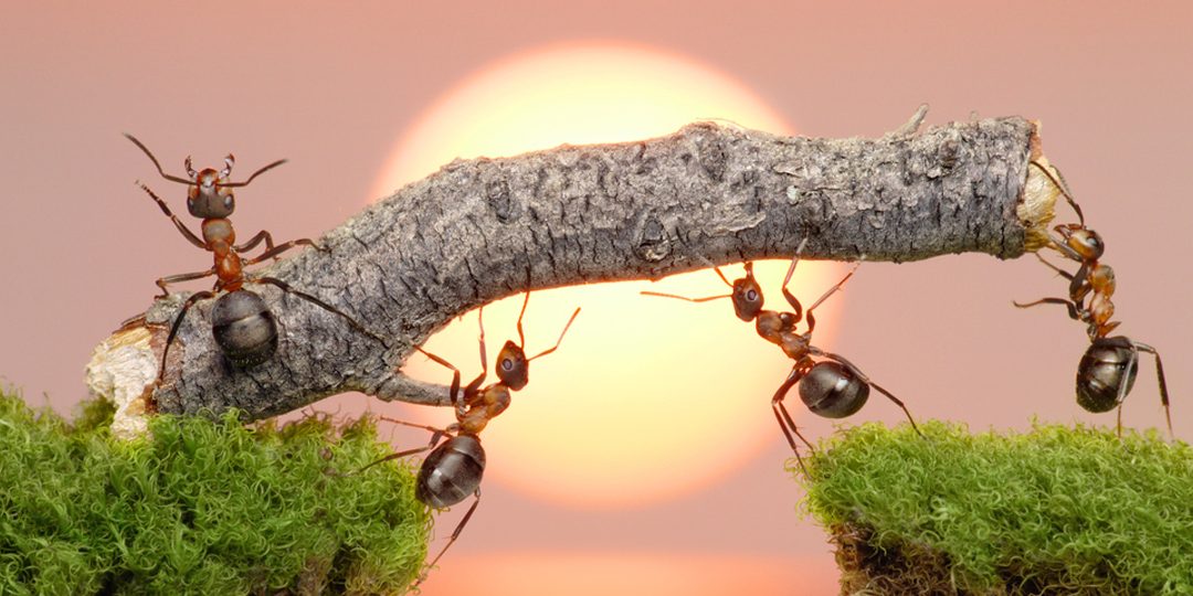 Far del bene fa star bene