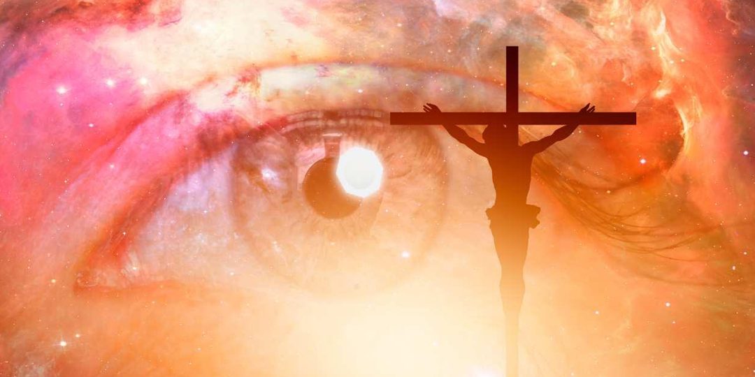 La bellezza collaterale